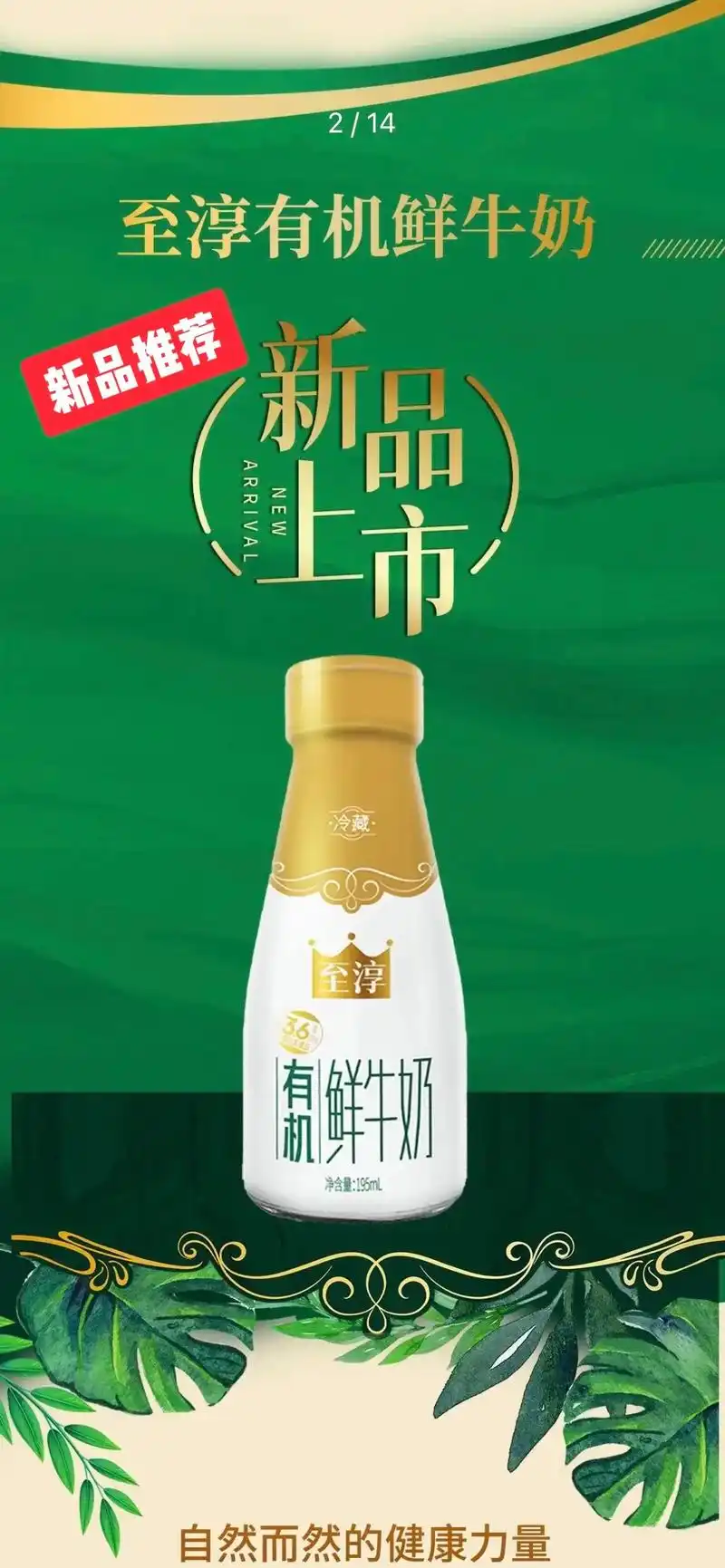 卫岗新品 至淳有机鲜牛奶.卫岗新品 至淳有机鲜牛奶(玻璃瓶) - 抖音