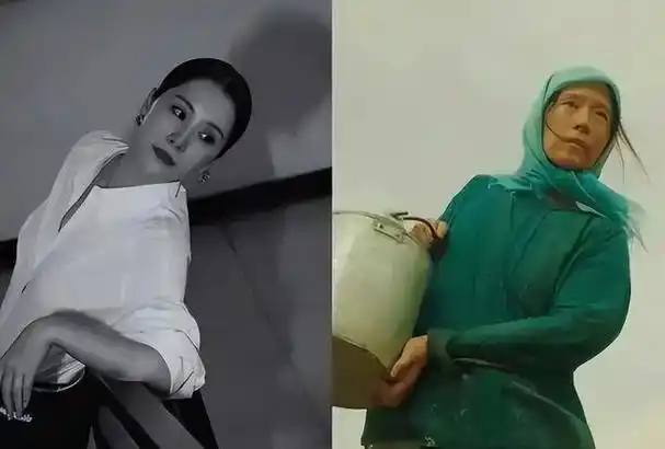 刘德华的担心是对的海清事件风波再升级难怪网友评论会一边倒