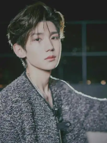 tfboys王源个人资料(歌手王源年少成名背后的喜与忧)-心语百科