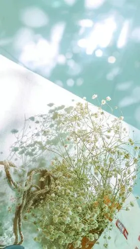 干净温柔背景图