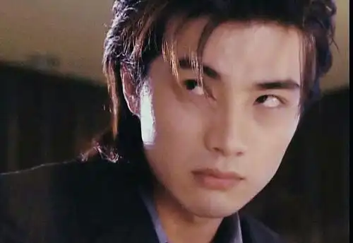 当年年轻的贺军翔真好看啊