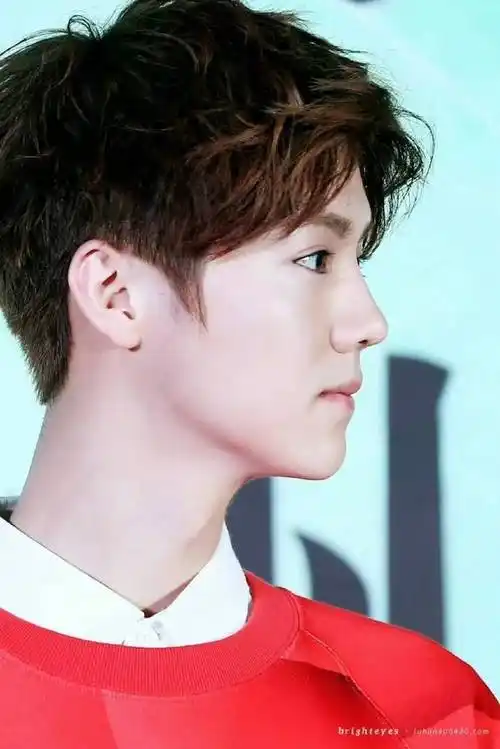 鹿晗骨相之美:温润如玉下的隐秘魅力_人们_皮相_美的