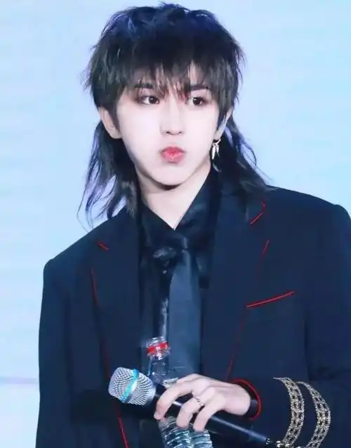 华晨宇鹿晗权志龙易烊千玺吴亦凡当红人气,高流量男星们个个都有尝试.