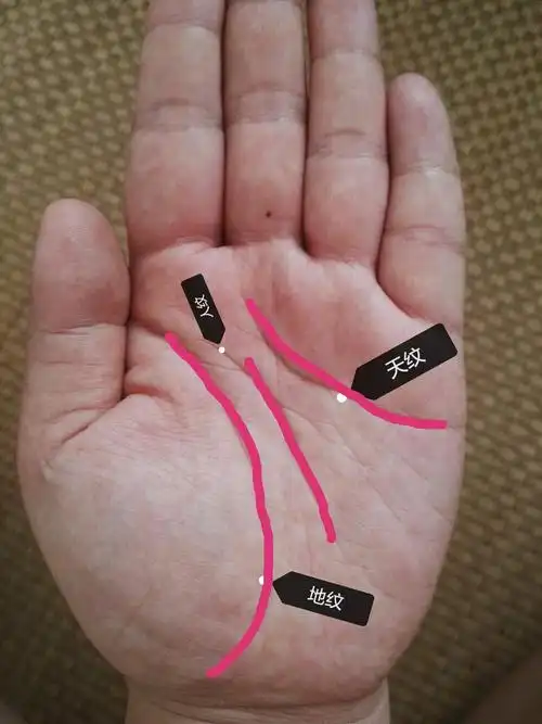 教你一眼就能看出自己是否长寿的秘诀 ——手纹隐含的生命密码