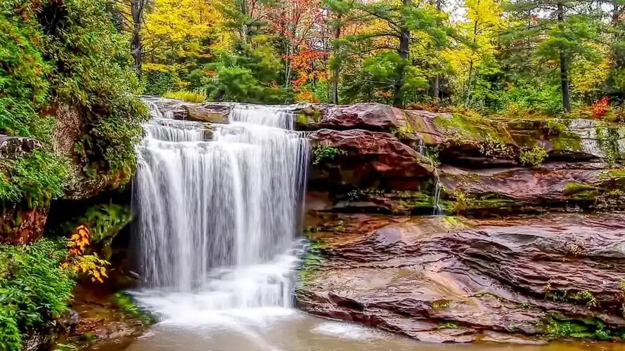 唯美绿色森林护眼风景高清桌面壁纸