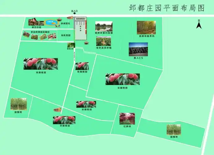 清明时节赏桃花-邺都庄园