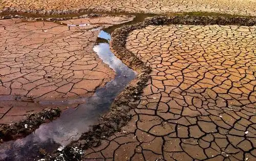 却在1961年的时候居延海渐渐的干涸,主要的原因是补给水源额济纳河