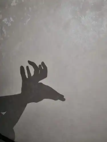 影子有时像一只梅花 鹿,伸着脖子,仰望天空!