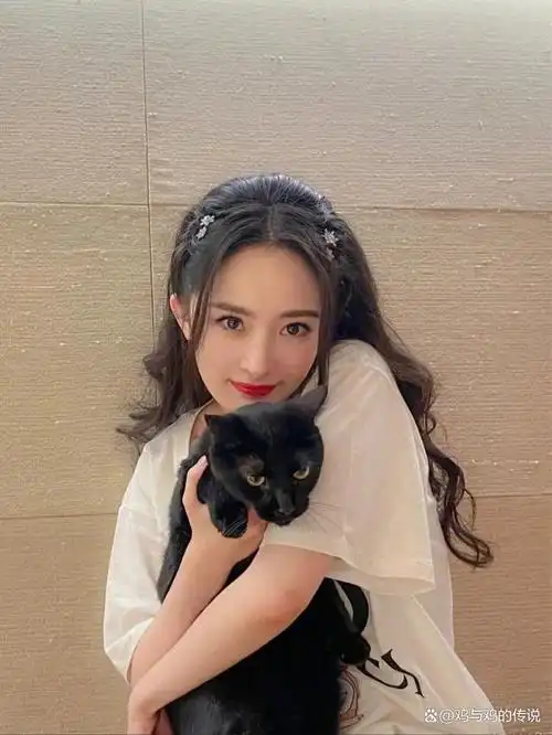 杨幂是一位中国内地女演员,流行乐歌手和制片人,出生于1986年9月12日.