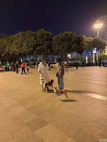 春节团圆夜晚也要很精彩去广场散散步享受属于两人的世界