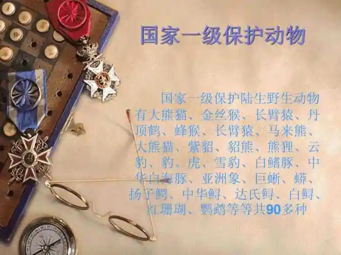 国家一二三级保护动物