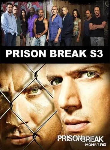 越狱第三季 完