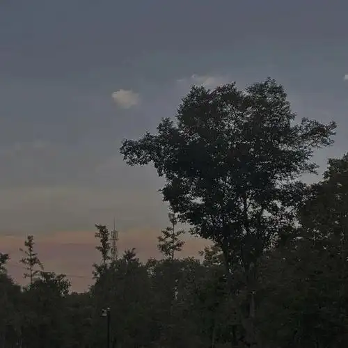 朋友圈背景图##朋友圈文案##朋友圈分享##文案##适合朋友圈个性签名