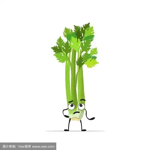 可爱的芹菜人物卡通吉祥物蔬菜健康食品概念孤立