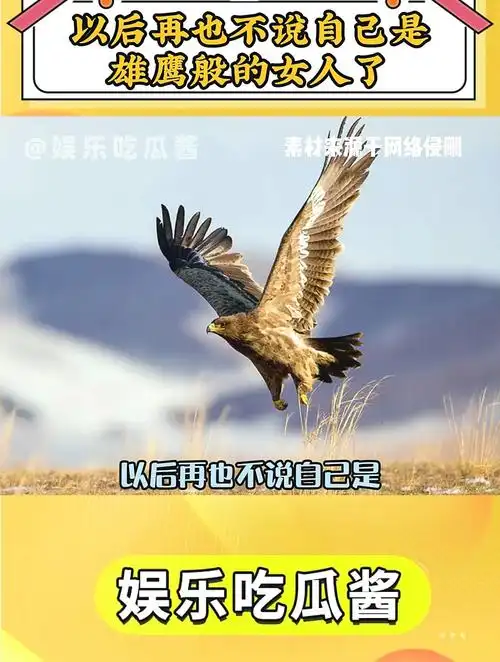 以后再也不说自己是雄鹰般的女人了 万万没想到 涨知识