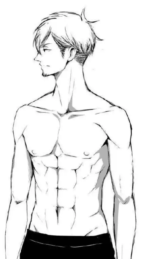 cg原画插画教程赤裸裸的腹肌画法教程