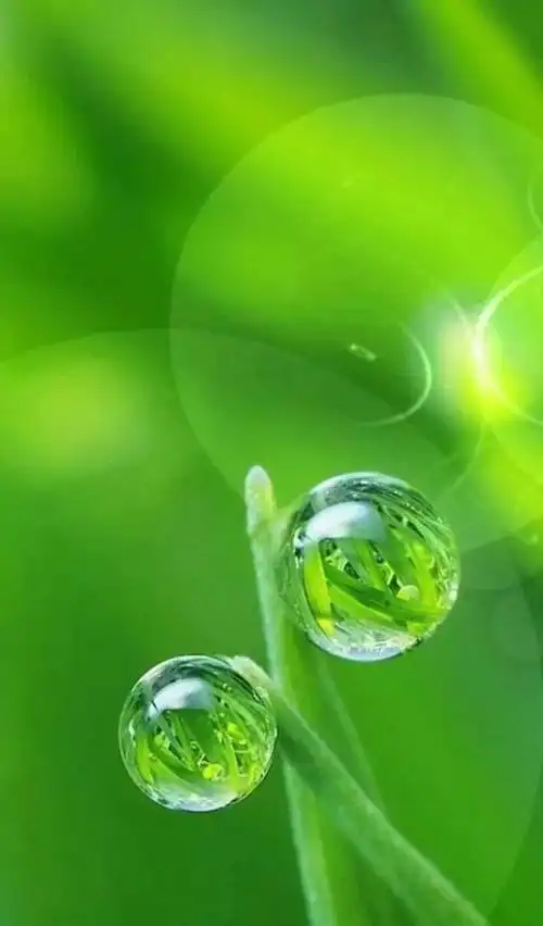 眼科专家推荐,看微信保护眼睛的简单方法,验证有效!