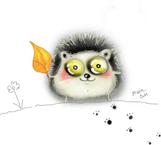 和喵喵大眼瞪小眼