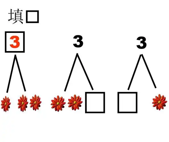数字2,3分解与组合