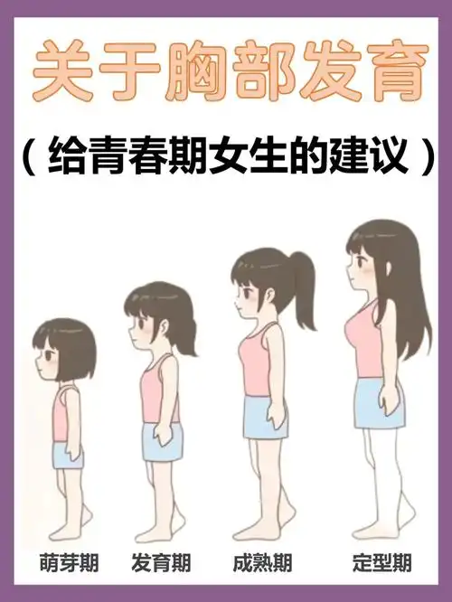 不能穿钢圈内衣关于胸部发育11566第一阶段21566第二阶段3