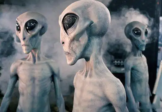 美国小孩目击不明飞行物, 外星人差点抓走他的宠物?