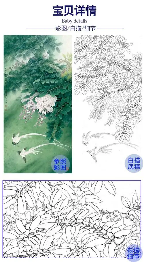 李晓明竖幅工笔花鸟白描底稿紫藤绶带图多种白描尺寸可选k123