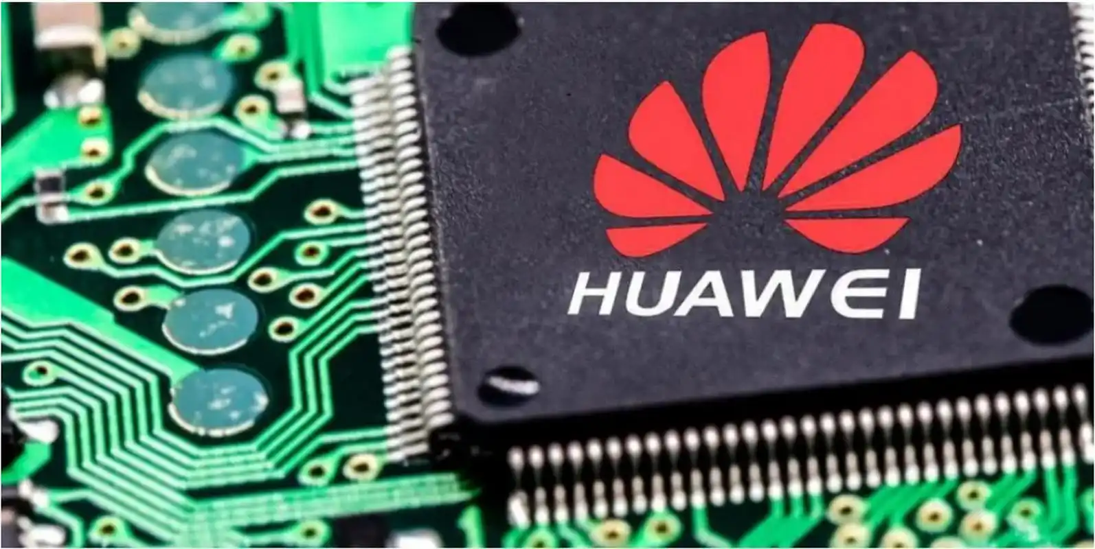 美帝还没有下手,中国的手机巨头和互联网巨头的芯片研发几乎都放弃了