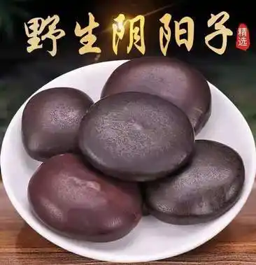 [阴阳豆批发]广西野生阴阳子过江龙木腰子龙凤子把玩配双肾子风流果泡