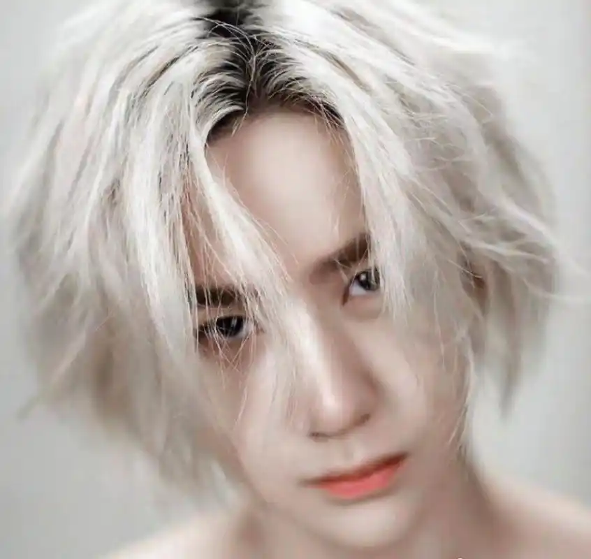 王一博这次选择了银色发色,带有一些白色的光泽,非常抢眼.