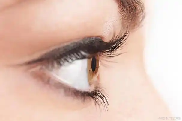 眼睫毛是眼睛的重要保护屏障,它可以帮助我们防止灰尘和异物进入眼睛