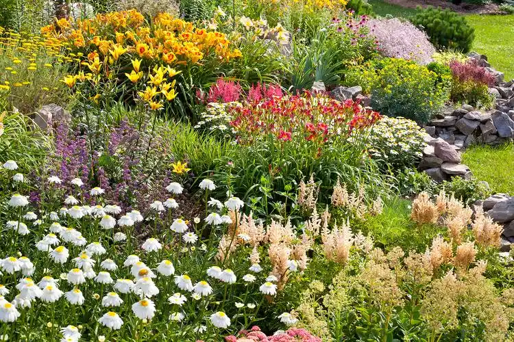 漂亮的花园从来都不是一次性建成的都是反复折腾出来的