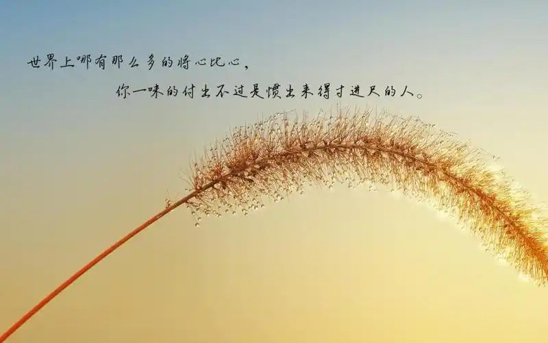 看透人心的悲凉句子带字配图