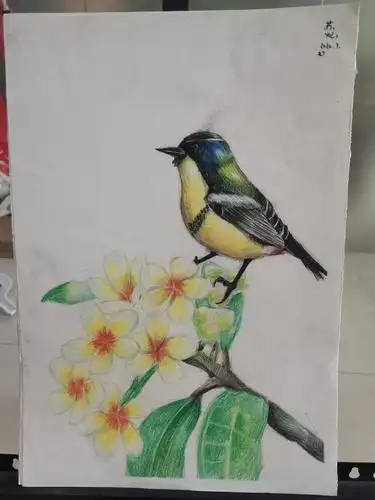 苏灿同学(12岁),2017年6月15日来到我们博开画苑学习绘画.