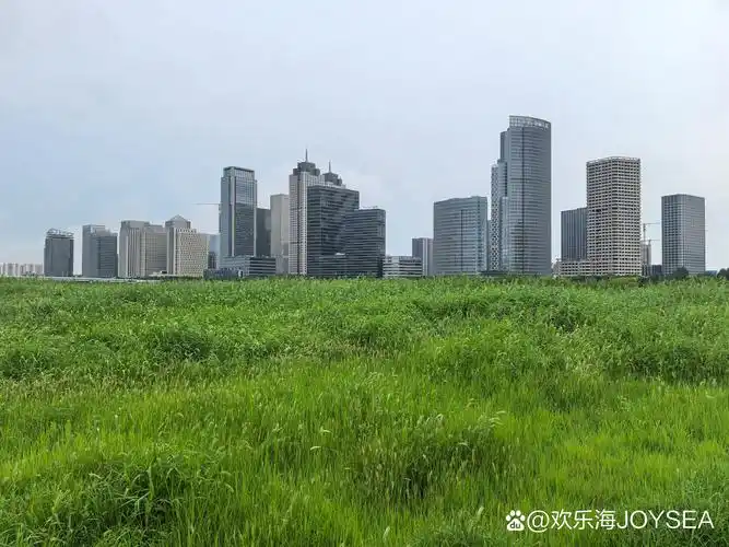 海河下游响螺湾