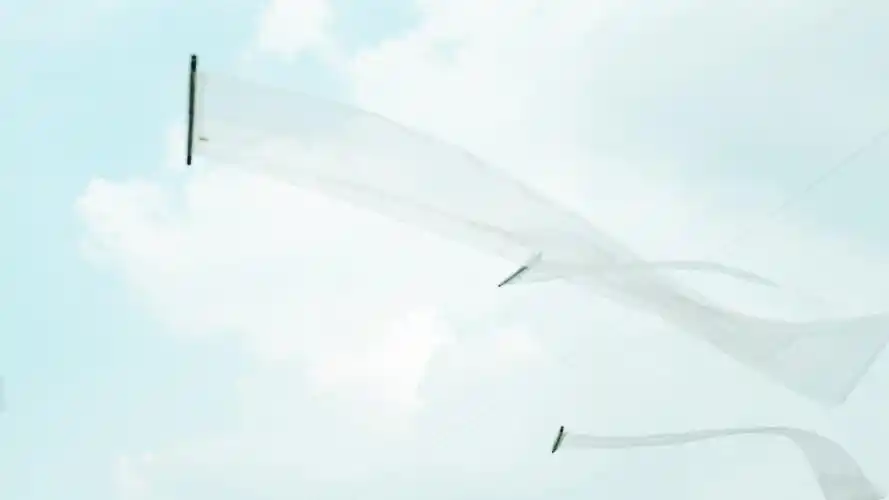 简单创意小清新静物图片桌面壁纸