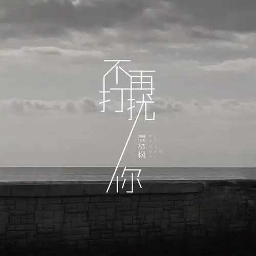 周林枫不再打扰你