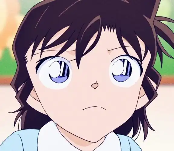 动漫头像,《名侦探柯南》里的毛利兰.拿图关注点赞_高清图集_新浪网