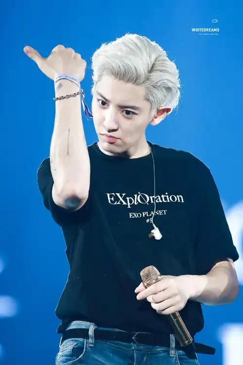exo朴灿烈crwhitedreams1127