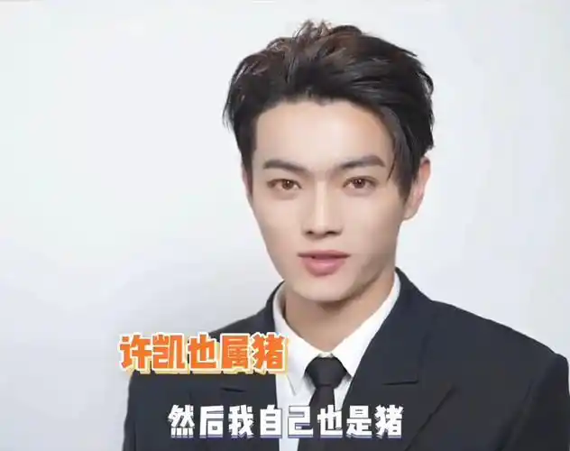 许凯什么时候接受的猪塑##许凯至少还有我