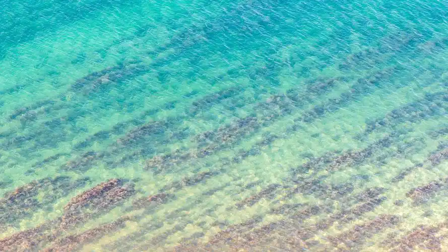 纯色小清新背景桌面图片-壁纸图片大全