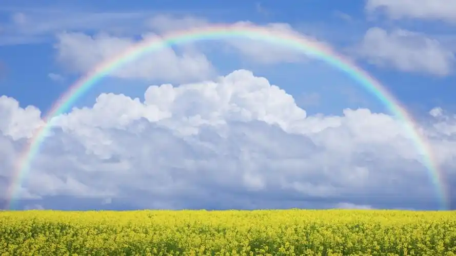 原图你的电脑分辨率(1600x1600)→生成壁纸显示:√欣赏模式全屏模式