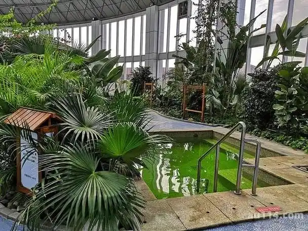 明月山天沐温泉度假村中有哪些比较有趣的旅行项目?