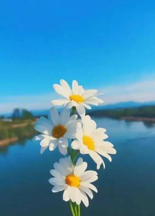 让人心静下来的高清图片00