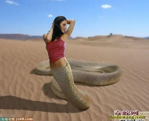 美女蛇图片美人蛇图片