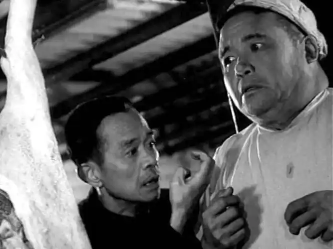 p>《大李小李和老李》是天马电影制片厂摄制的体育题材喜剧片,由 a