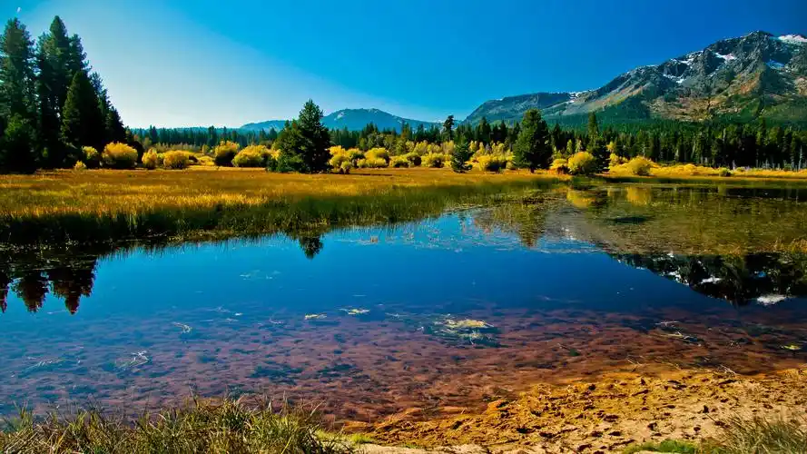 湖泊溪流清澈的水-风光合集-风景图片-娟娟壁纸