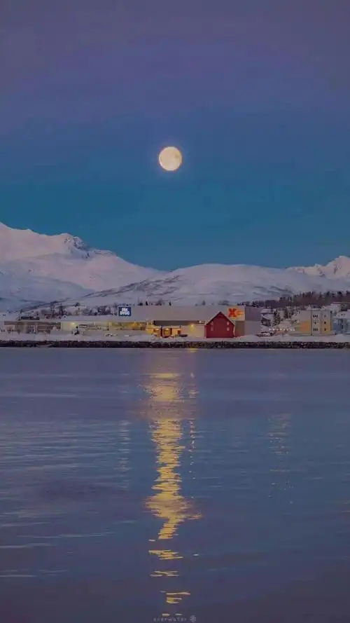 「壁纸」超干净的蓝色治愈系壁纸