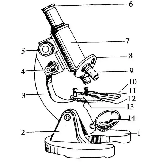 下图是显微镜的结构示意图,请据图回答:(1)如果8上安置的两个物镜标有