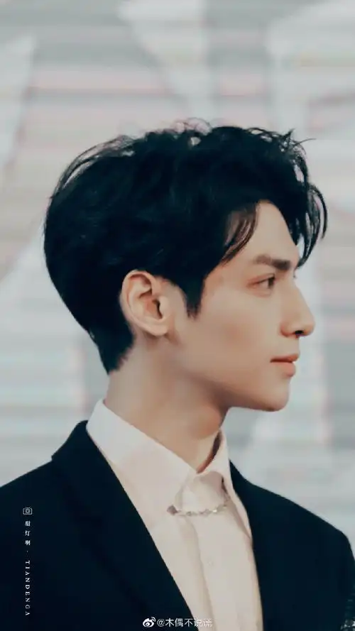 罗云熙蔷薇(1p侧脸)蔷薇属观赏植物·罗云熙狮粉站(11p半身全身笔芯)