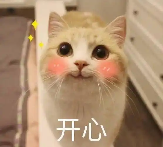 开心-表情图片 - 壁纸家